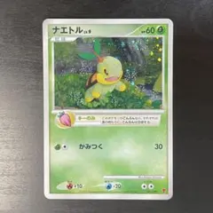 2025年最新】ナエトル 001/PPPの人気アイテム - メルカリ