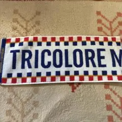 横浜F・マリノス　応援タオル