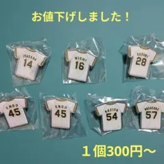 2026年最新】阪神ピンズコンプリートの人気アイテム - メルカリ