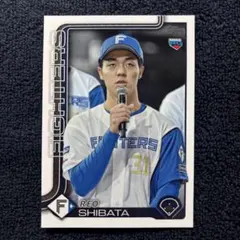 2025年最新】柴田獅子の人気アイテム - メルカリ