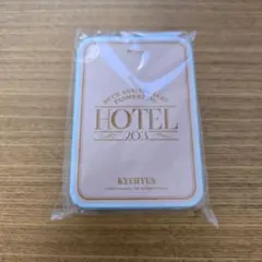 東京会場限定】キュヒョン ファンミ限定グッズ バッジセット ギュメ