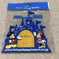 ディズニーワールド フォトフレーム 写真立て 2000年 ミレニアム 新品