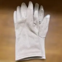 ベージュ スエード風 手袋 指先タッチ対応