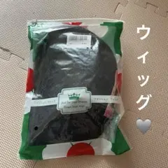 ウィッグ　ファッション　小顔　おしゃれ　送料無料　可愛いのサムネイル