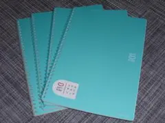 Item thumbnail for item ac882477-4fdf-46dd-9e28-d2e8eda91325