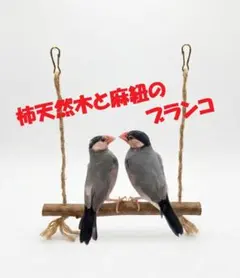 キキママ様オーダー品 小鳥のステージ（とまり木）Sサイズ 4セット