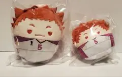 ハイキュー!! ぬいくじ 天童E賞2点 テンドウワシ - メルカリ