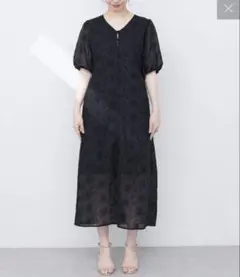【WEB限定】お花刺繍フロント釦Vネックワンピースのサムネイル