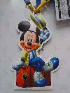 非売品　東京ディズニーリゾートバケーションパッケージオリジナルパスケース