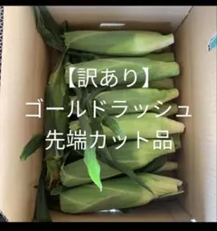 7/15発送分4【訳あり】先端カット品最低16本のサムネイル