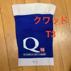 コンプレスポーツ　クワッドT3サイズ　片方のみ