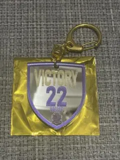 サンフレッチェ広島 勝利時限定 アクリルキーホルダー 22番 アレー