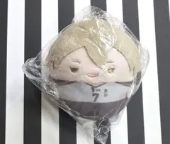 ハイキュー!! くじメイト ぬいくじ E賞 木葉秋紀 - メルカリ