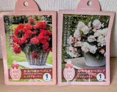 桃柑ママ様 リクエスト 2点 まとめ商品