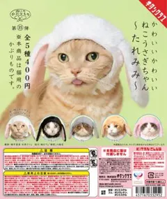 ねこのかぶりもの　たれみみうさぎ　グレー