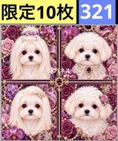 限定10枚！　わんこ 子犬 犬 レアパネル生地　無くなり次第終了です