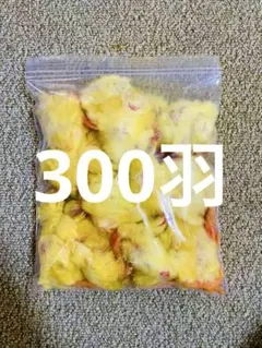 Item thumbnail for item ba92eaa7-c9dc-41ba-a530-fc9c63e80ab5