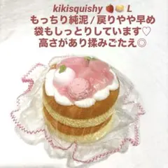 kikisquishy 苺ケーキ 純泥 苺 ホールケーキ ぼやぼや袋 スクイーズ