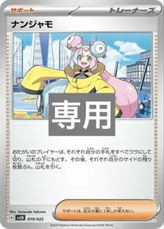 専用
