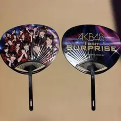 AKB48 Team SURPRISE うちわ