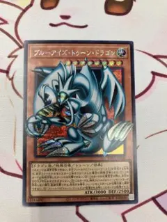 2026年最新】ブルーアイズ・トゥーン・ドラゴン オーバーフレームの