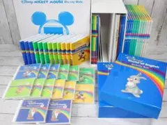 21年購入 ほぼ未使用 DWE ブルーレイメイト メインプログラム