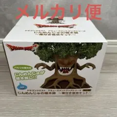 ドラゴンクエスト じんめんじゅの植木鉢 種付き栽培キットのサムネイル