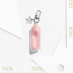 新品未使用　ディオール　ノベルティ　リップケース