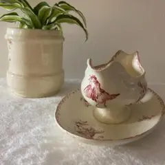 サルグミンヌ Favori ソーシエール レア鳥さん♪ サルグミンヌ Favori ソーシエール レア鳥さん♪