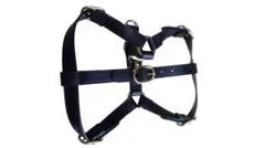 GUCCI 犬 ハーネス 695253 ブラック ゴールド - メルカリ