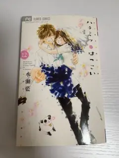 ハチミツにはつこい 12巻