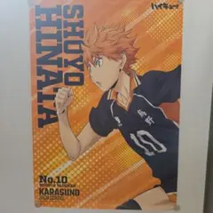 ハイキュー!! 日向翔陽 烏野高校 B3ポスター