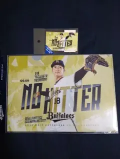 Item thumbnail for item 979862e9-ae6d-4364-ba67-20117f684e89