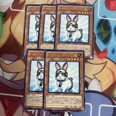 2026年最新】レスキューラビットの人気アイテム - メルカリ