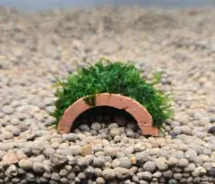 くるみるく様 リクエスト 4点 まとめ商品