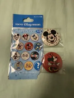 ディズニー　ミッキー　ミニー　缶バッジ