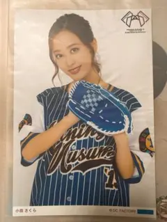 北海道日本ハムファイターズ✕モーニング娘'25 生写真セット 小田