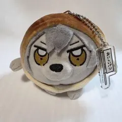 2026年最新】丸パン 晃牙の人気アイテム - メルカリ