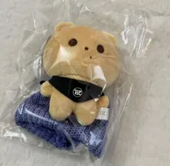 THEBOYZ ソウルコン ミニドール ぬいぐるみ　キュー トレカ ぬい Q