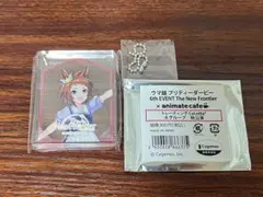 ウマ娘6th ビコーペガサス コロッタ