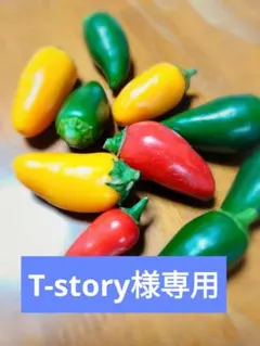 T-story様専用