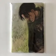 進撃の巨人 リヴァイ オリジナルレジャーシート
