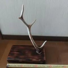 バサコン様 リクエスト 2点 まとめ商品