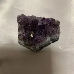 Item thumbnail for item aa9178d9-5acb-4395-ab58-6eb08b335482