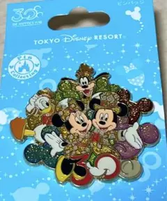 TDR30周年記念 ピンバッジセット Disney - ピンバッジセット ディズニーストア30周年の通販 by み