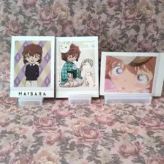 名探偵コナン ぱしゃこれvol.7 灰原哀 レア箔押し①