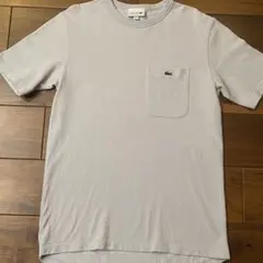 LACOSTE ラコステ 鹿子 Tシャツ グレージュ ships ビームス 定番