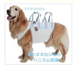 2025年最新】ハニカム胴着の人気アイテム - メルカリ