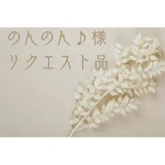 のんのん♪様専用