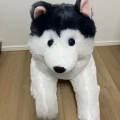 Item thumbnail for item 7d9f58b0-2aa9-449b-8437-4e4133d5c572